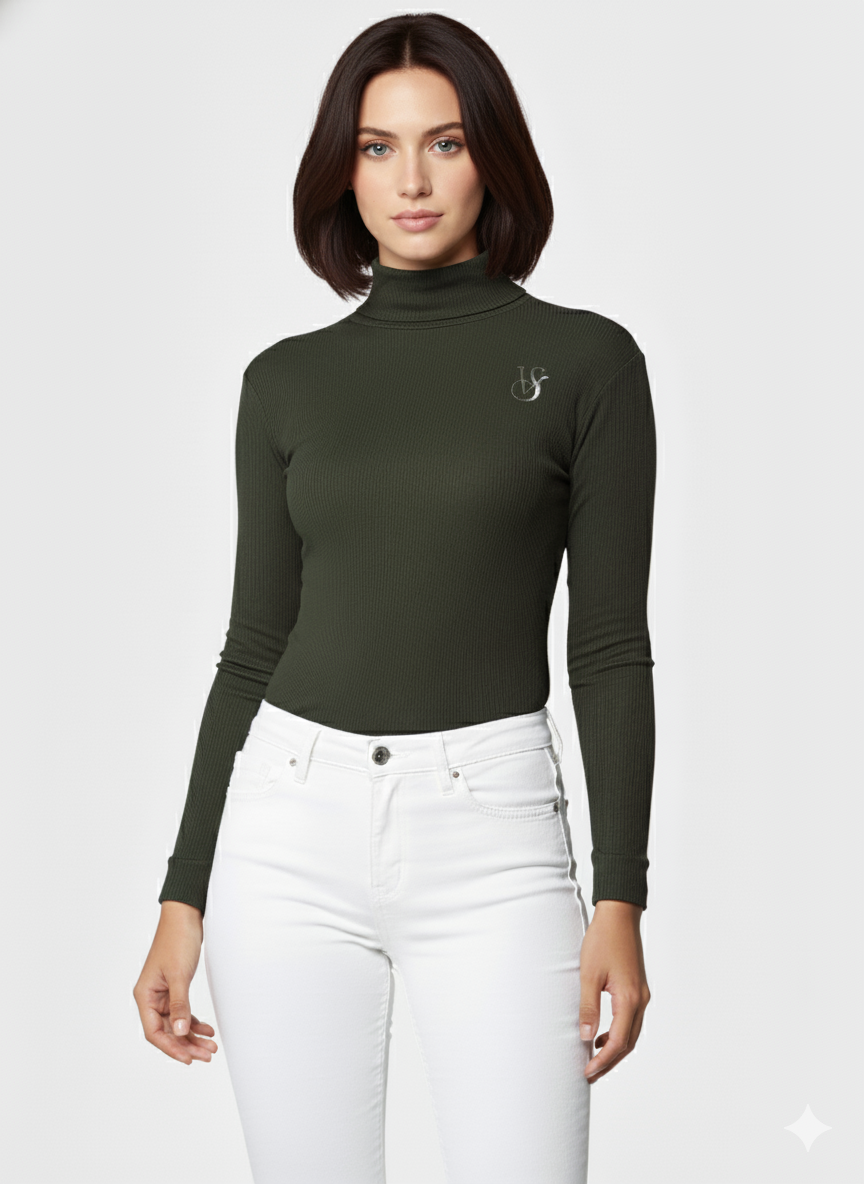 ATTRECTIVE HIGH NECK LONG SLEEV  CROP TOP