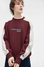 ORGANIC 100%  COTTON ELEGANT MEN,S SWEATSHIRT