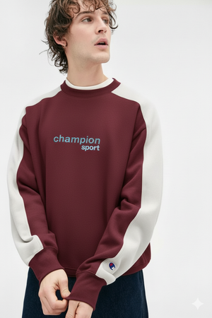 ORGANIC 100%  COTTON ELEGANT MEN,S SWEATSHIRT