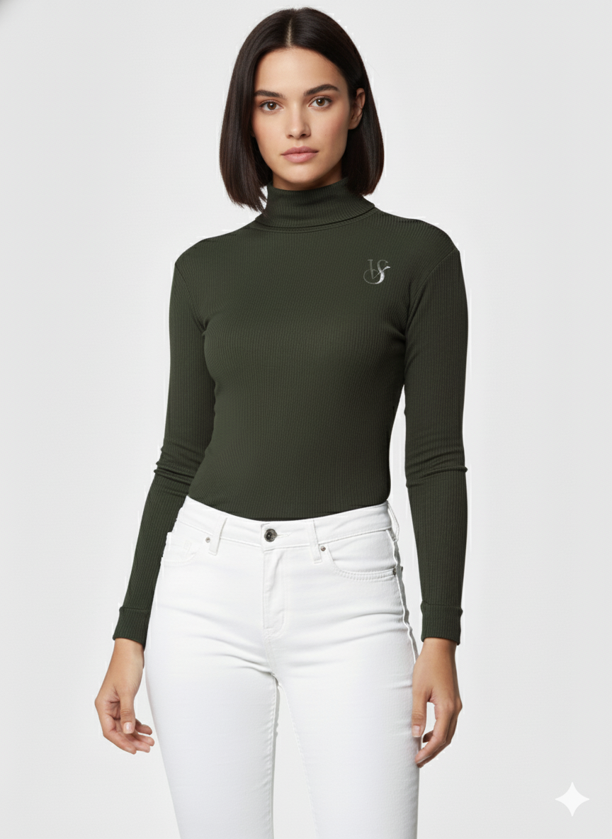 ATTRECTIVE HIGH NECK LONG SLEEV  CROP TOP